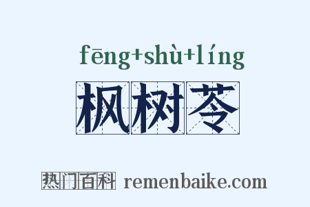 枫树苓是什么意思的图片